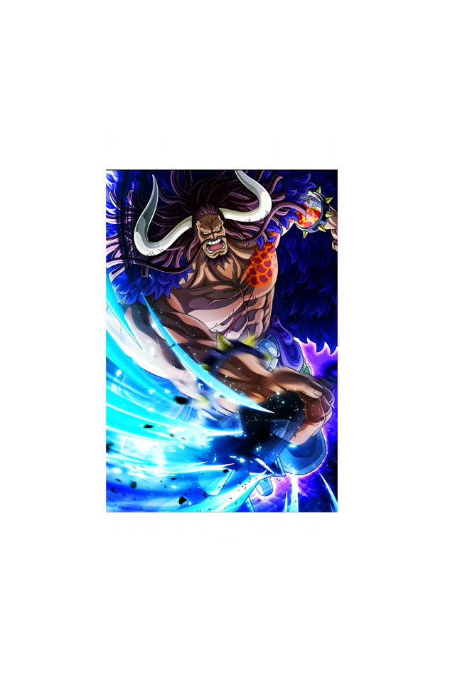 Terry Oversized T-shirt - One Piece KAIDO 01