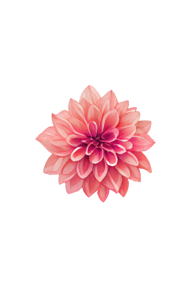 Crop Top - Black and White Illustrated Flower